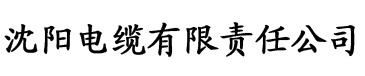 包子视频播放器电缆厂logo